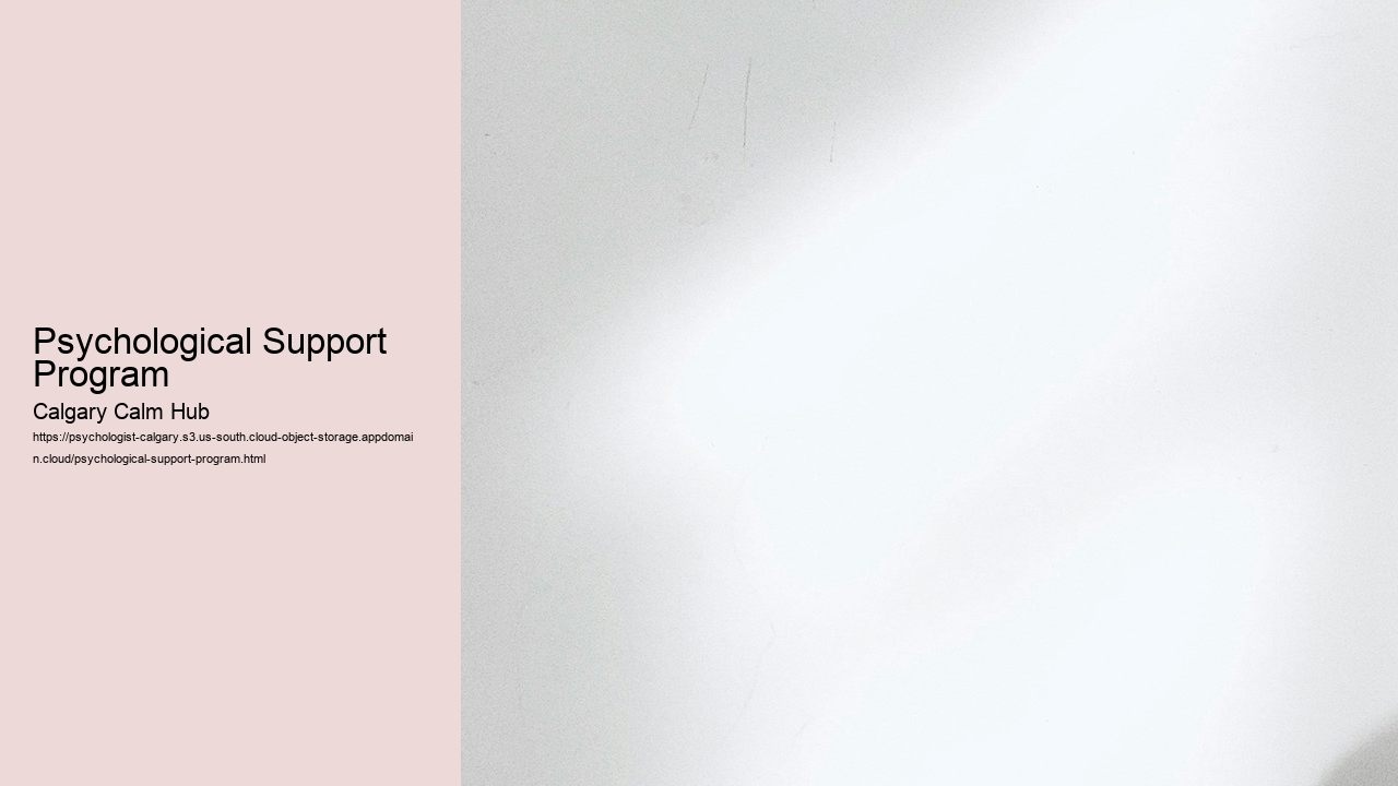 Psychological Support Program